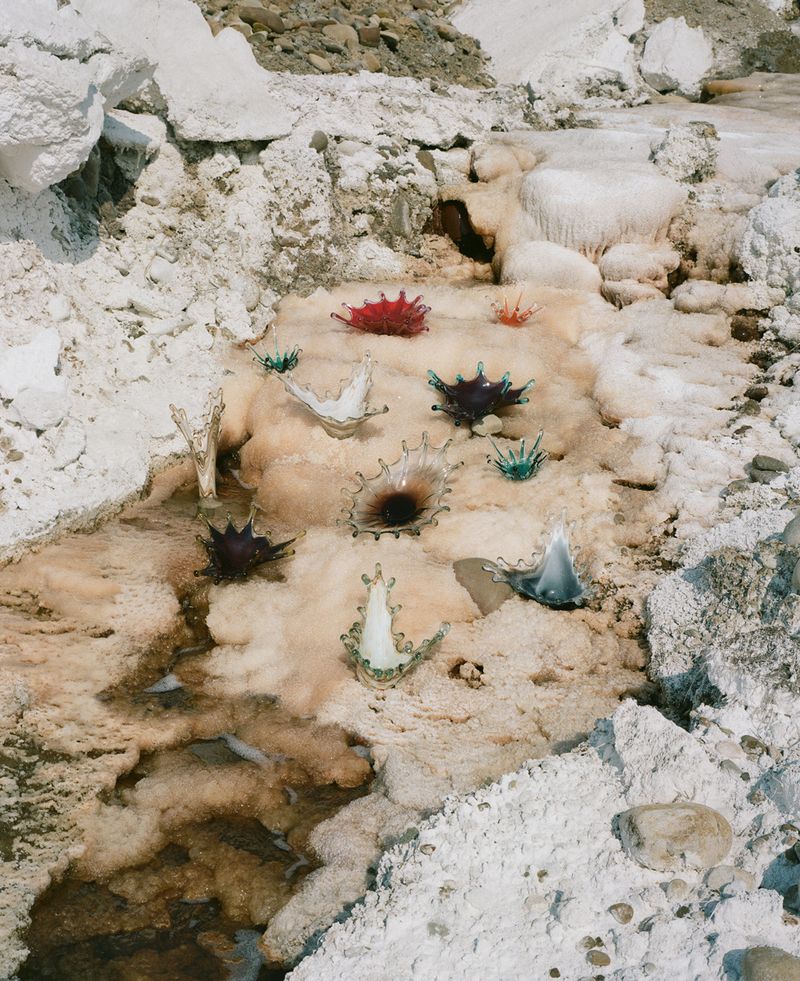 © Synchrodogs Duo - Image from the Slightly Altered photography project