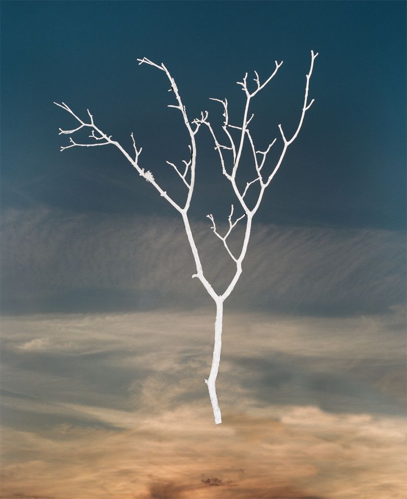 © Synchrodogs Duo - Image from the Slightly Altered photography project