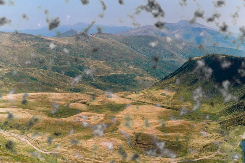 © Synchrodogs Duo - Image from the Slightly Altered photography project