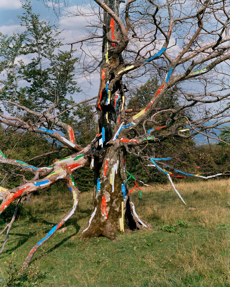 © Synchrodogs Duo - Image from the Slightly Altered photography project