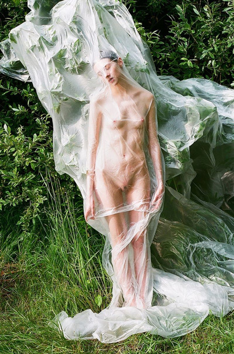 © Synchrodogs Duo - synchrodogs.com