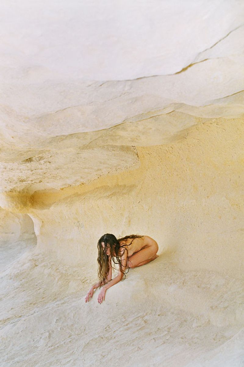 © Synchrodogs Duo - synchrodogs.com