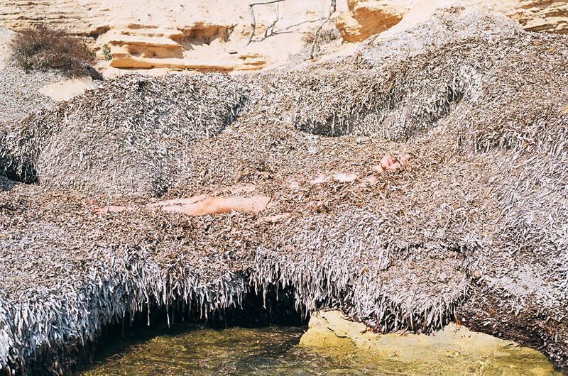 © Synchrodogs Duo - synchrodogs.com