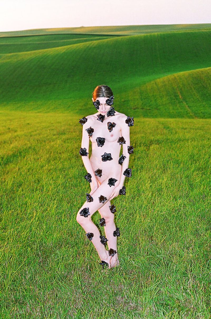 © Synchrodogs Duo - synchrodogs.com