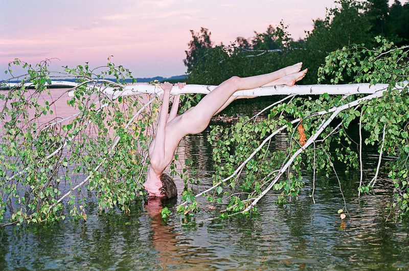 © Synchrodogs Duo - synchrodogs.com