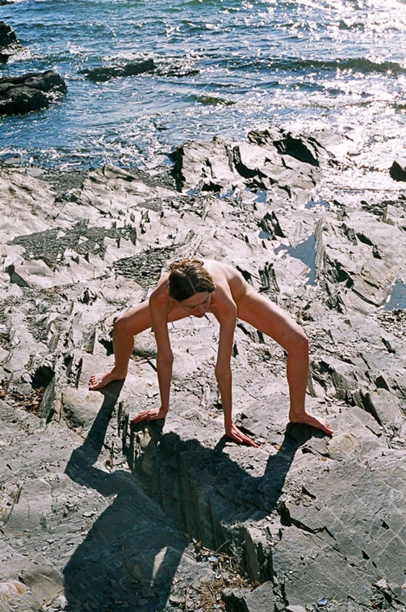 © Synchrodogs Duo - synchrodogs.com