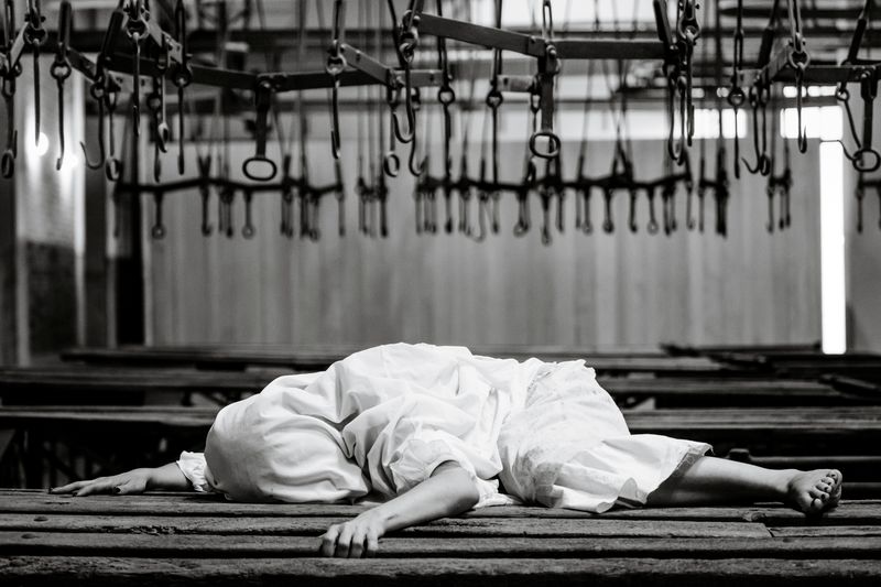 © Paolo Soriani - Image from the AnimAnimale -  I Don't Know How To Respond To That Violence photography project