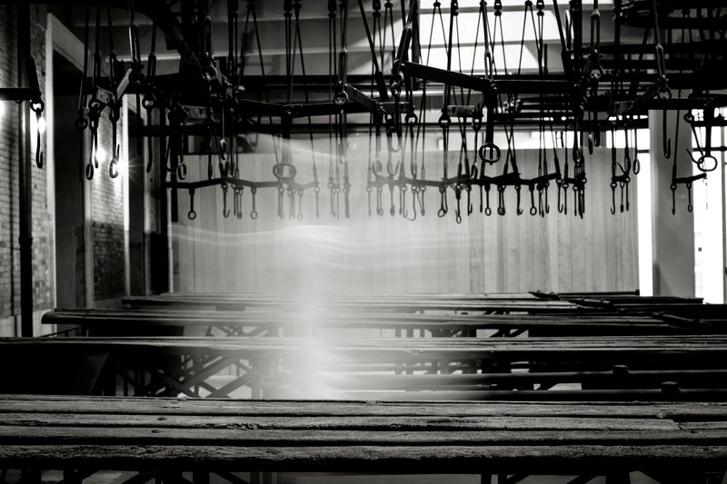 © Paolo Soriani - Image from the AnimAnimale -  I Don't Know How To Respond To That Violence photography project