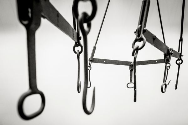 © Paolo Soriani - Image from the AnimAnimale -  I Don't Know How To Respond To That Violence photography project