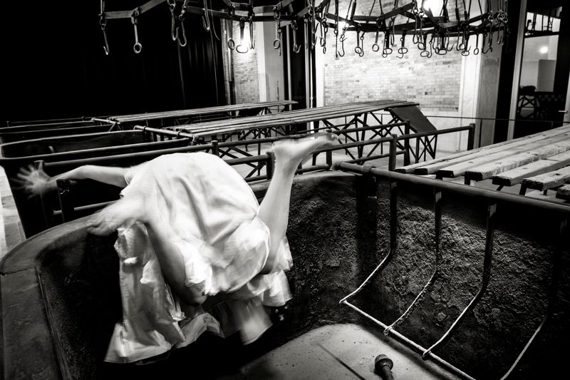 © Paolo Soriani - Image from the AnimAnimale -  I Don't Know How To Respond To That Violence photography project