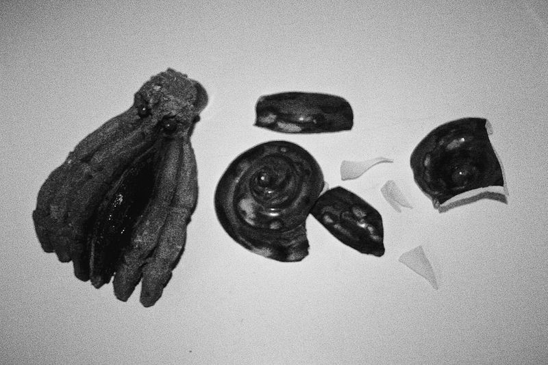 © Andrea Ottenwalder - Image from the La casa de Andrea photography project