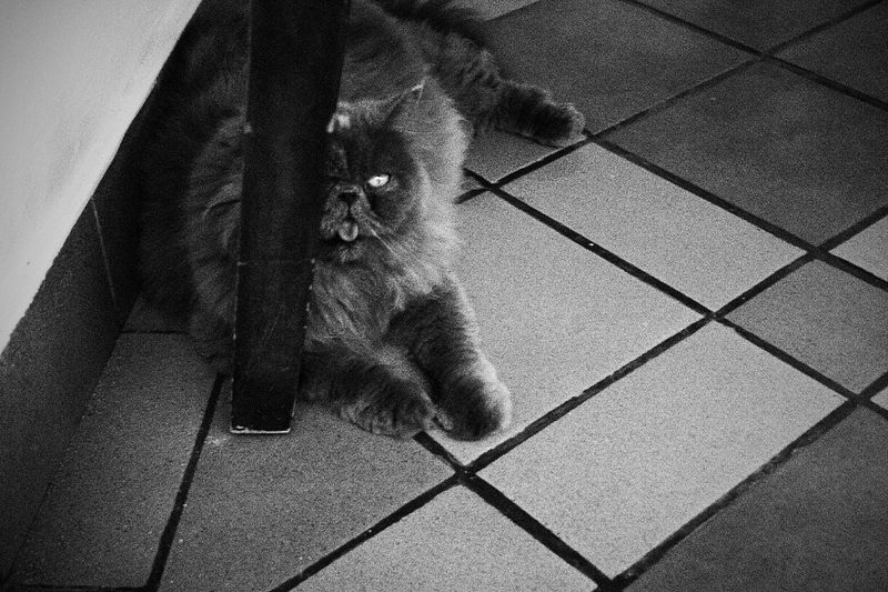 © Andrea Ottenwalder - Image from the La casa de Andrea photography project