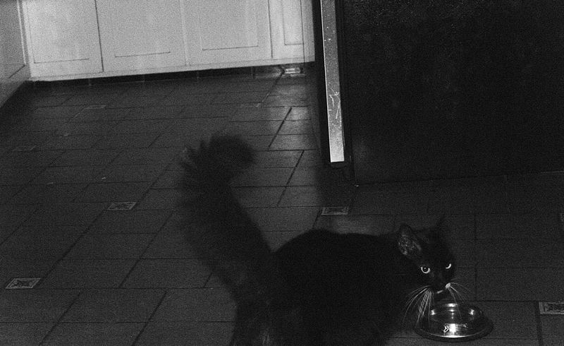 © Andrea Ottenwalder - Image from the La casa de Andrea photography project