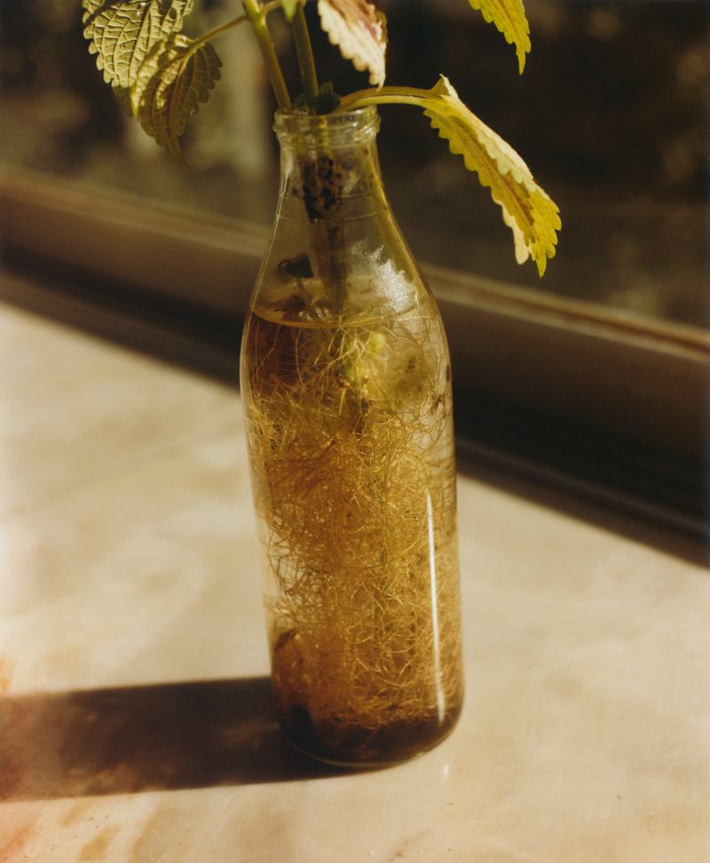 © Maksym Rudnik - Image from the Neon Bible photography project