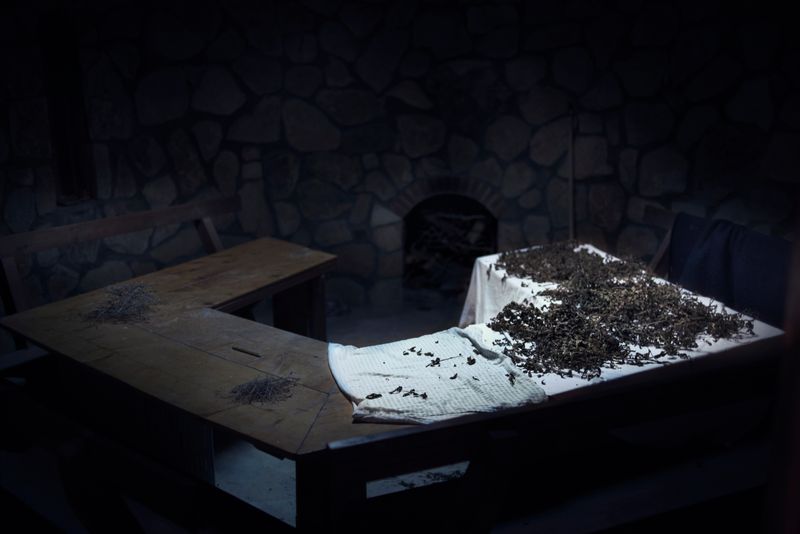 © Annalisa Natali Murri - Image from the The immortals - way to the stars photography project