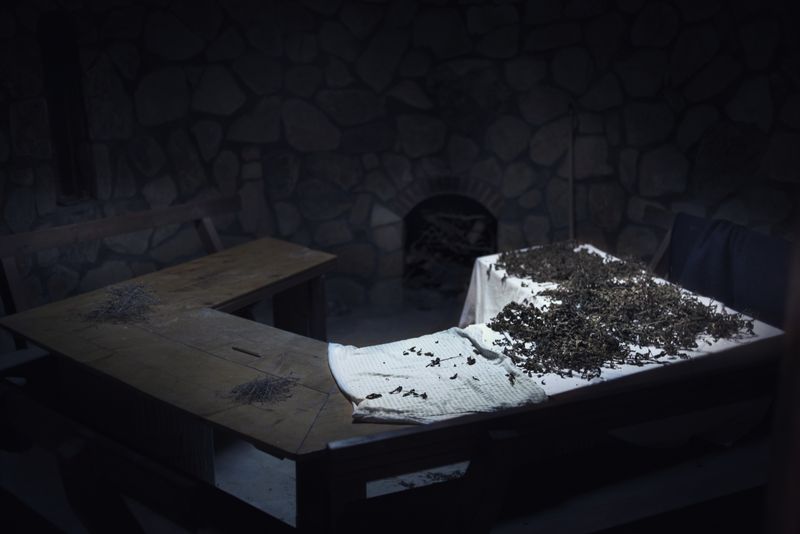 © Annalisa Natali Murri - Image from the The immortals - way to the stars photography project