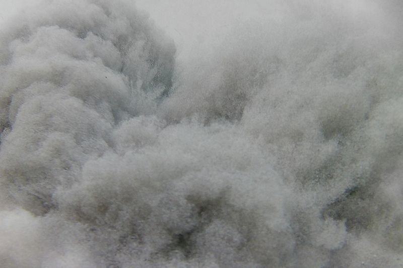 © Annalisa Natali Murri - Image from the La Isla Nena photography project