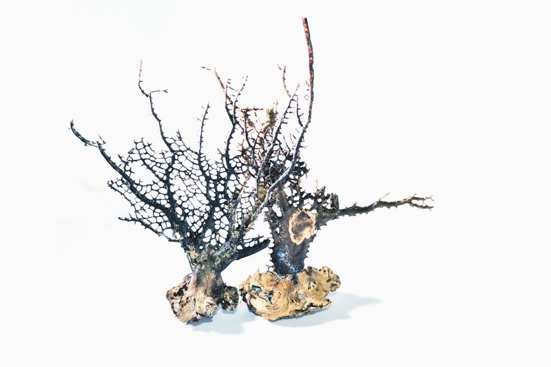 © Annalisa Natali Murri - Image from the La Isla Nena photography project