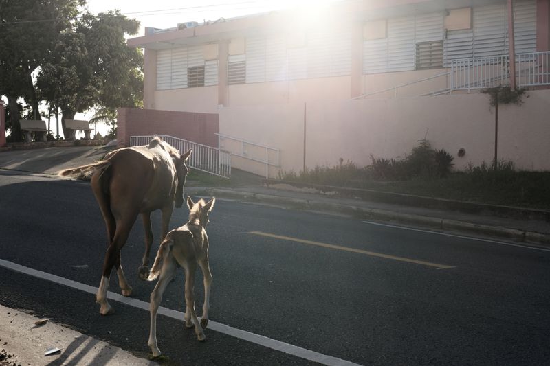 © Annalisa Natali Murri - Image from the La Isla Nena photography project