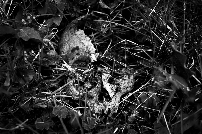 © Franz Krajnik - Image from the Uchuraccay photography project