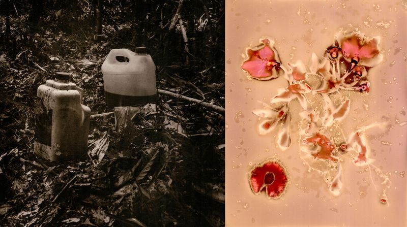 © Franz Krajnik - Image from the Invisible Logging. Material Memories of the Amazon photography project