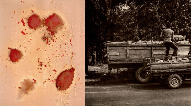 © Franz Krajnik - Image from the Invisible Logging. Material Memories of the Amazon photography project