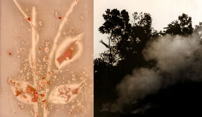 © Franz Krajnik - Image from the Invisible Logging. Material Memories of the Amazon photography project
