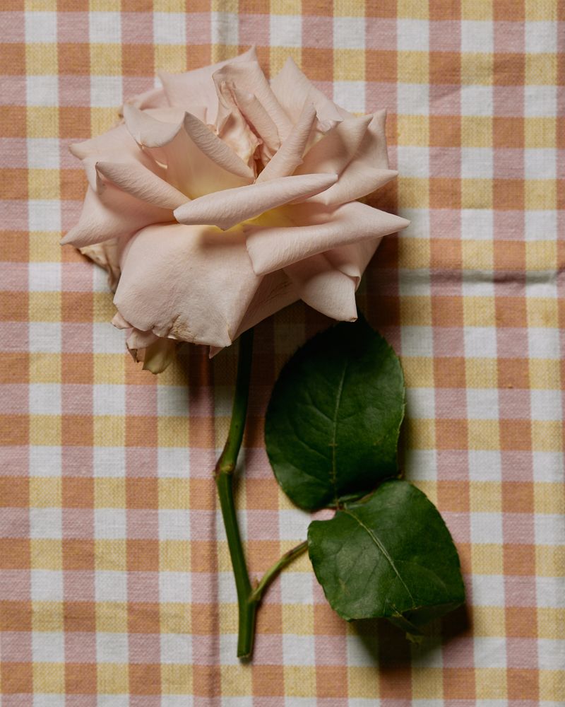 © Magali Polverino - She had a beautiful garden that she spent a lot of time caring for.