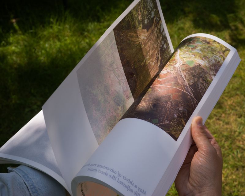 Image from a project on PhMuseum