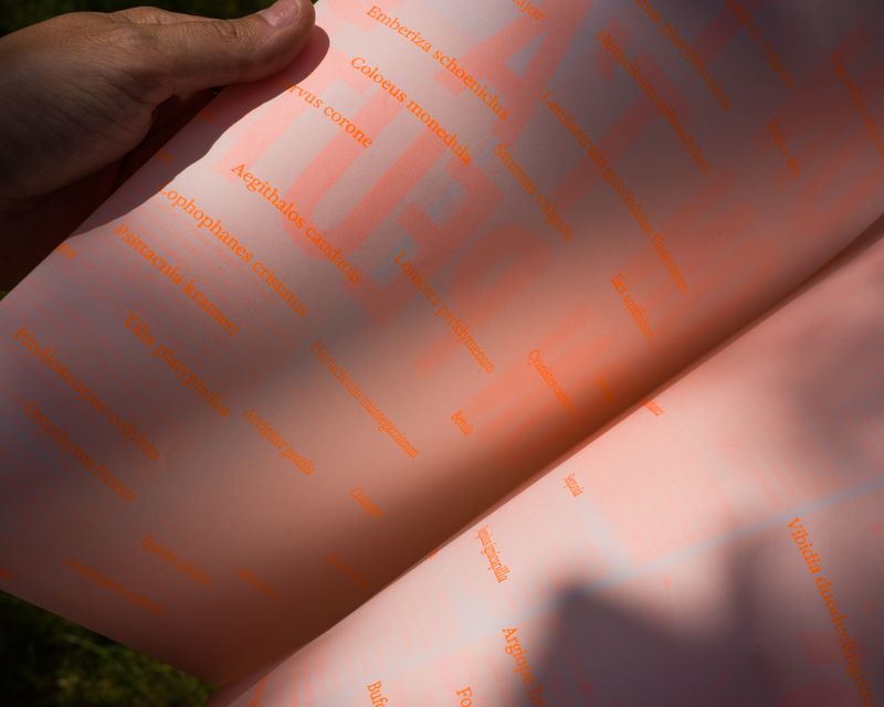 Image from a project on PhMuseum