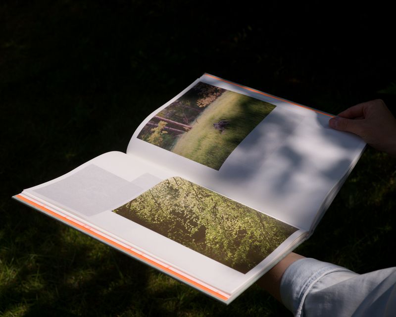 Image from a project on PhMuseum
