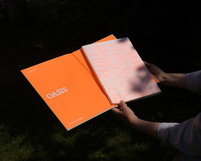 Image from a project on PhMuseum
