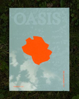 OASIS by Matthieu Litt