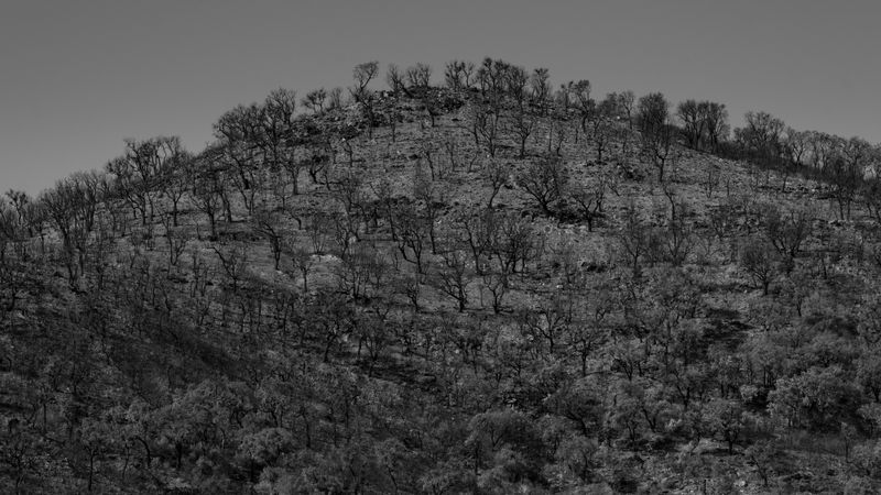© Christoph Montebelli - Scorched Earth #4 (Massif de Maures)