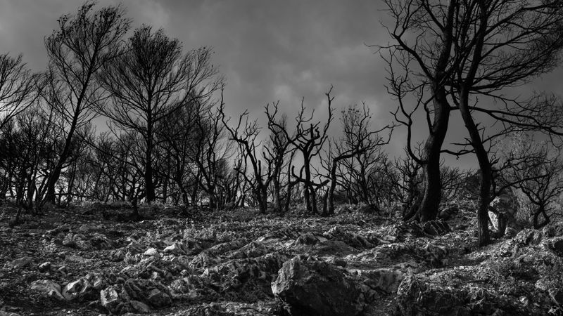 © Christoph Montebelli - Scorched Earth #1 (Beaumes-de-Venise)