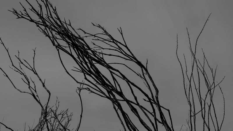 © Christoph Montebelli - Scorched Earth #13 (Générac)