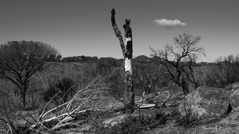 © Christoph Montebelli - Scorched Earth #16 (Plaine des Maures)