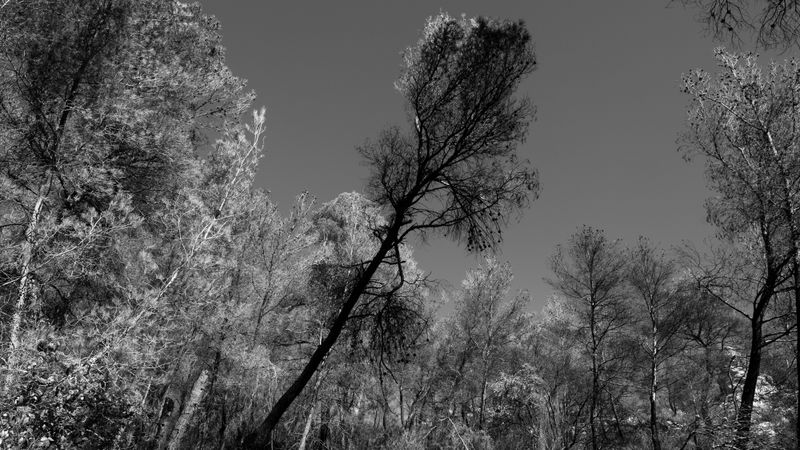 © Christoph Montebelli - Scorched Earth #6 (Auriol)