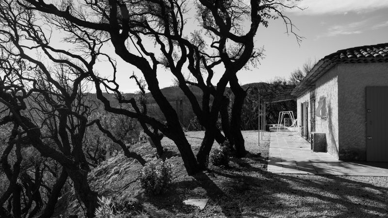 © Christoph Montebelli - Scorched Earth #12 (Massif des Maures / Grimaud)