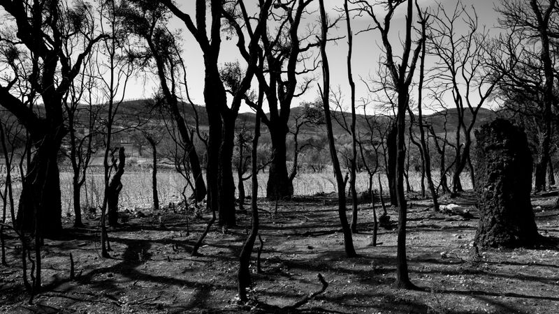 © Christoph Montebelli - Scorched Earth #20 (Beaumes-de-Venise)