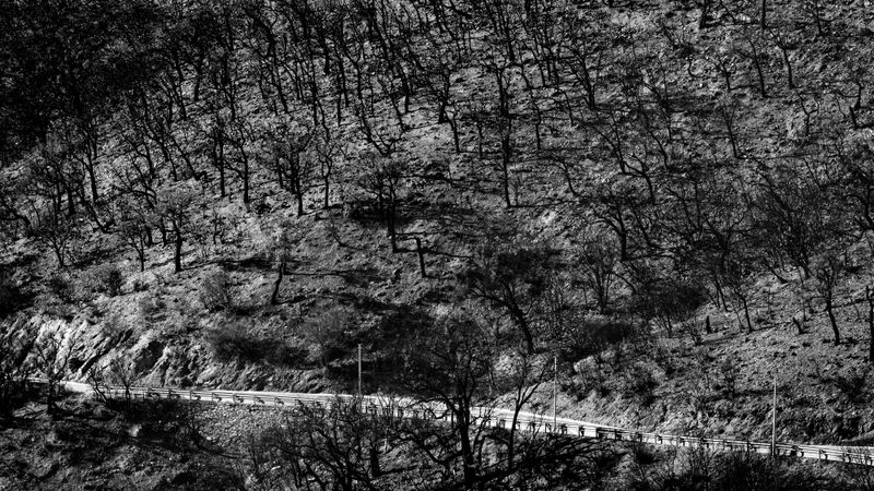 © Christoph Montebelli - Scorched Earth #19 (Massif des Maures / Grimaud)