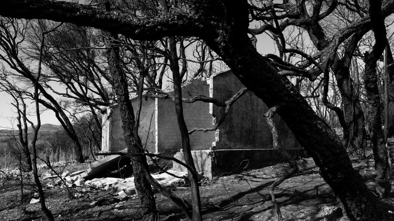 © Christoph Montebelli - Scorched Earth #3 (Massif des Maures / Grimaud)