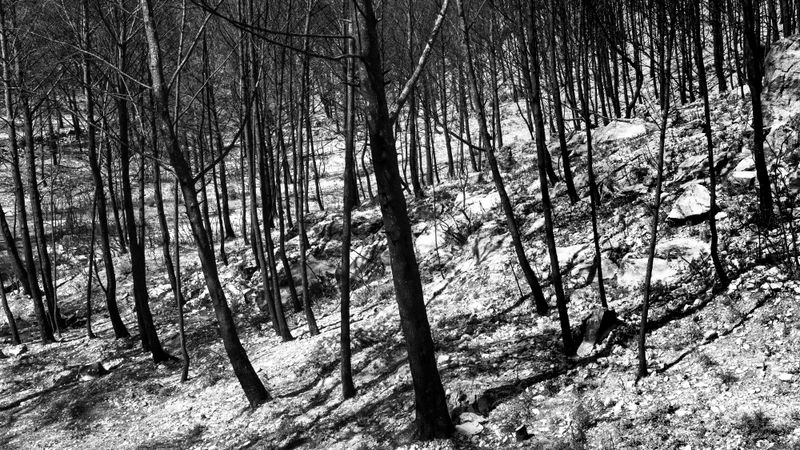 © Christoph Montebelli - Scorched Earth #15 (Côte Bleue)