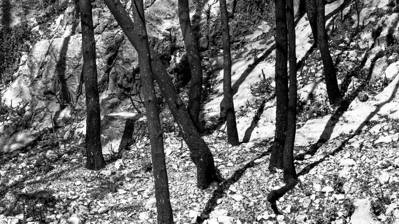 © Christoph Montebelli - Scorched Earth #5 (Côte Bleue)