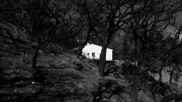 © Christoph Montebelli - Scorched Earth #2 (Massif des Maures / Grimaud)