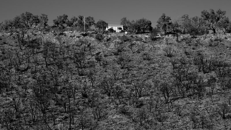 © Christoph Montebelli - Scorched Earth #11 (Beaumes-de-Venise)