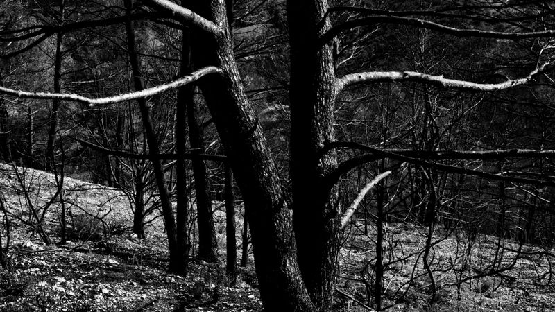 © Christoph Montebelli - Scorched Earth #10 (Beaumes-de-Venise)