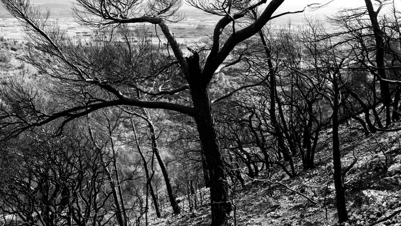 © Christoph Montebelli - Scorched Earth #17 (Beaumes-de-Venise)