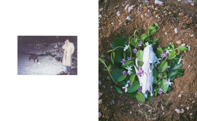 © Lucas Momparler - Image from the Where the acanthus rest photography project