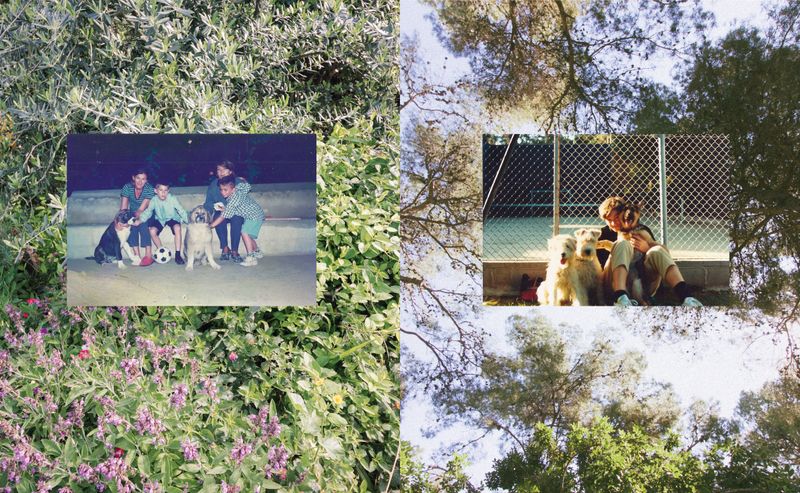 © Lucas Momparler - Image from the Where the acanthus rest photography project